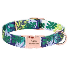 Load image into Gallery viewer, Fashion Custom Dog Collar Nylon Free Engraved ID for Small Medium Large Dogs - GoHappyShopin