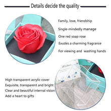 Load image into Gallery viewer, Valentine's Day Gift ROSE SPACE Jewelry with Artificial Flower - GoHappyShopin