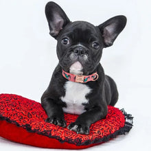 Load image into Gallery viewer, Fashion Custom Dog Collar Nylon Free Engraved ID for Small Medium Large Dogs - GoHappyShopin
