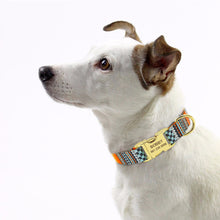 Load image into Gallery viewer, Fashion Custom Dog Collar Nylon Free Engraved ID for Small Medium Large Dogs - GoHappyShopin
